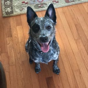 Meet your Posher, Jeff